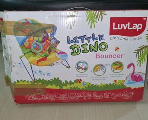 Baby Bouncer
