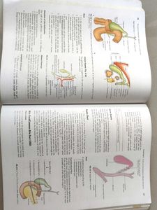 Anatomy Textbook: Abdomen and Lower Limb, 3rd Edit