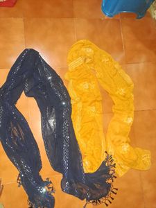 Combo Of Dupattas
