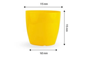 Brand New 5 Piece 6 Inch Pot With Plate ( Plastic)