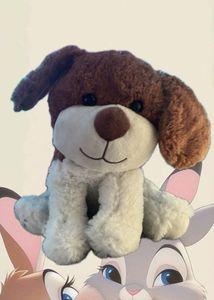 Cute Teddy