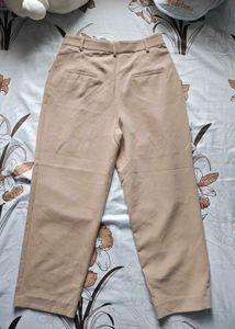 Beige Straight Fit Trouser