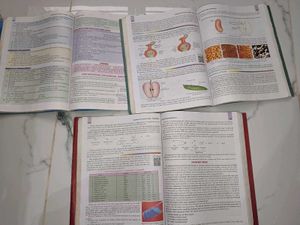 Class 10 (S.Chand).  P.C.M Books