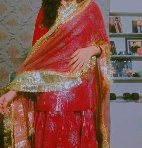 Xl Women Red &amp; Gold Wedding Outfit
