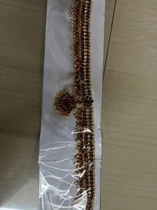 Vadanam For Bharthanatyam Dance