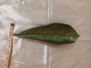 Decorative Leaf Tray