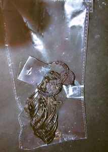 Locket With Earring