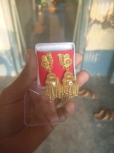New Never Used Earrings Golden Designer