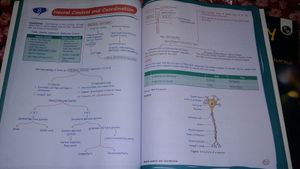 It&#39;s A Combo Of Two Books For Neet Biology Notes
