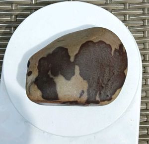 Unique Decorative Narmada Rock