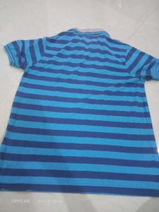 Hollister Brand Tshirt