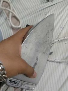 Electric Iron