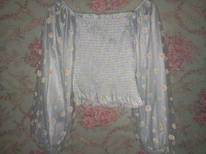 Daisy Sheer Sleeve Top