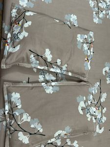 Todays Offer Glace Cotton Double Bedsheet