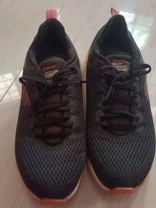 Skechers Shoe