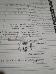 cell the unit of life notes