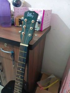Blueberry Acoustic Guitar 🤍