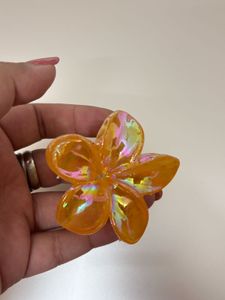 Combo Of 3 Claw Clips
