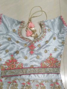 Embroidered l Lehenga Choli