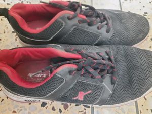 Sparx Sport Shoes