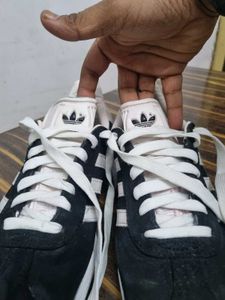 Adidas Gazelle Amazing Sneakers For Any One