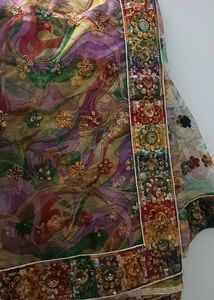 Beautiful multi color saree