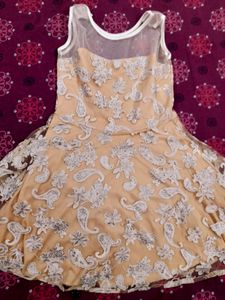 A line  embroidered dress