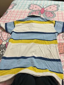 Striped Polo Shirt