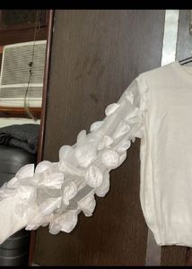 Ruffle Net Sleeves Top