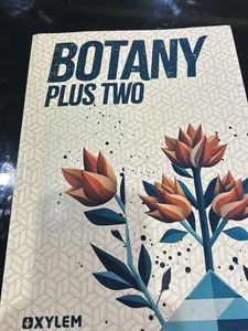 Plus Two Botany Xylem Study Material