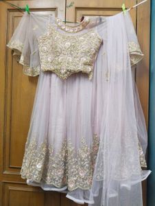 Levender Embroidered Lehenga Skirt Crop blouse wit