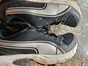 Original Puma Sports Shoes For Girls