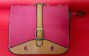 Shiny Sling Bag