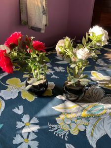 Set of 2 artificial rose plants - Red and White