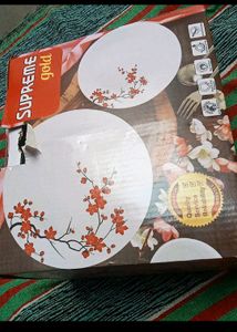 New Dinnerware Set
