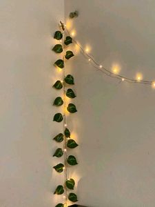 Green And Golden Leaves