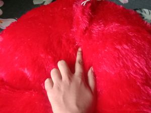 Taddy Bear