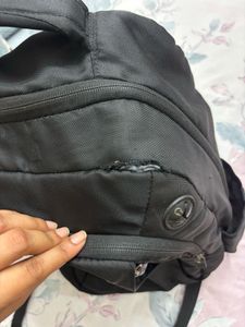 American Tourister Black Backpack