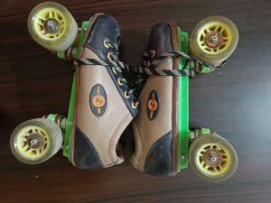 Shoes Skate