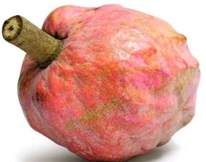 Raamphal Fruit Seeds (50nos)
