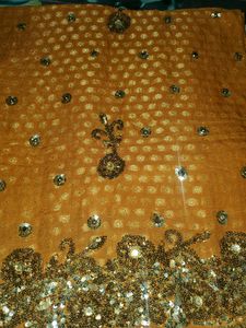 Wedding Saree ,Saree For Functions (No Coins)