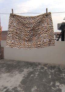 H&M Collection mini Skirt Animal Print