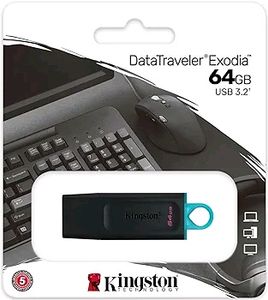Kingston DataTraveler 64 GB Pen Drive