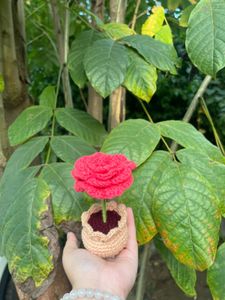Crochet Rose pot
