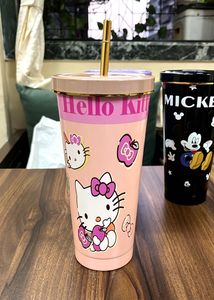 Cartoon Character Disney Steel Sipper - 1 Pc