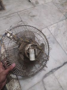 Branded Fan For Room