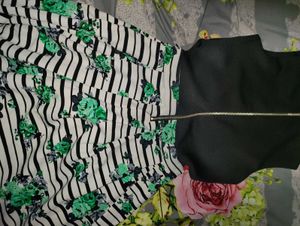 Striped Floral Fit &amp; Flare Dress
