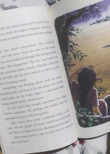 Angry River by Ruskin Bond