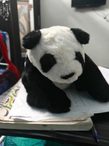 Baby Panda Soft Toy