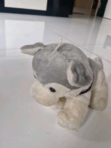 Dog Soft Toy